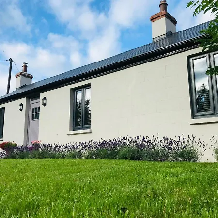 Lavender - 2 Bedroom